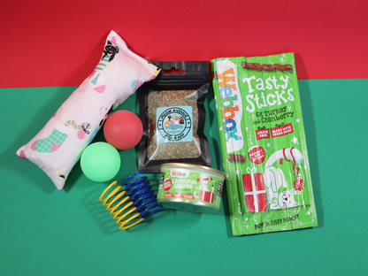 Mini Festive Bundle